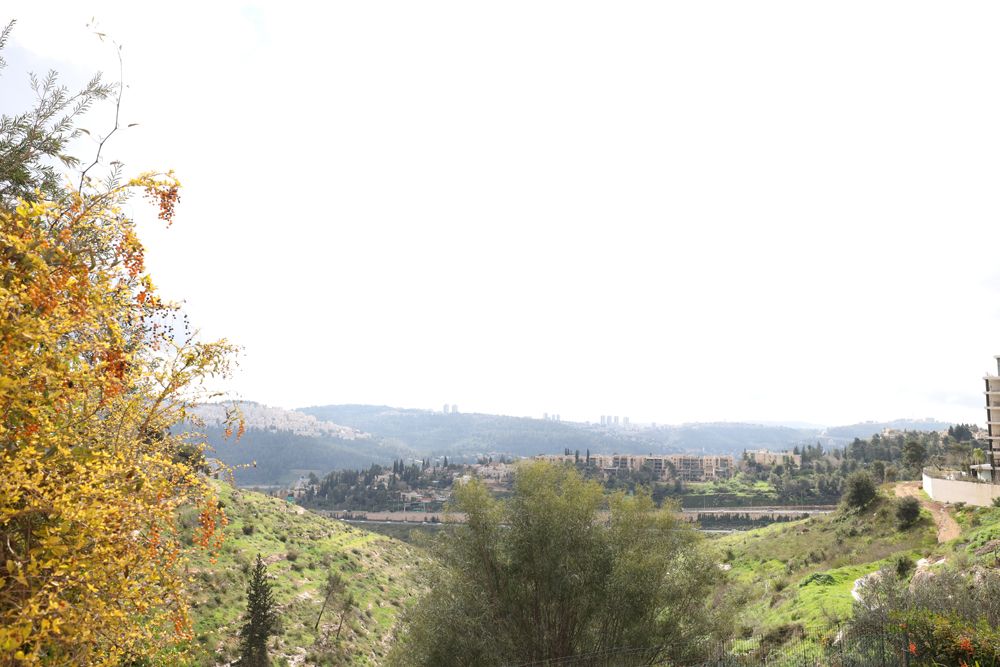 מהסמארטפון שלי